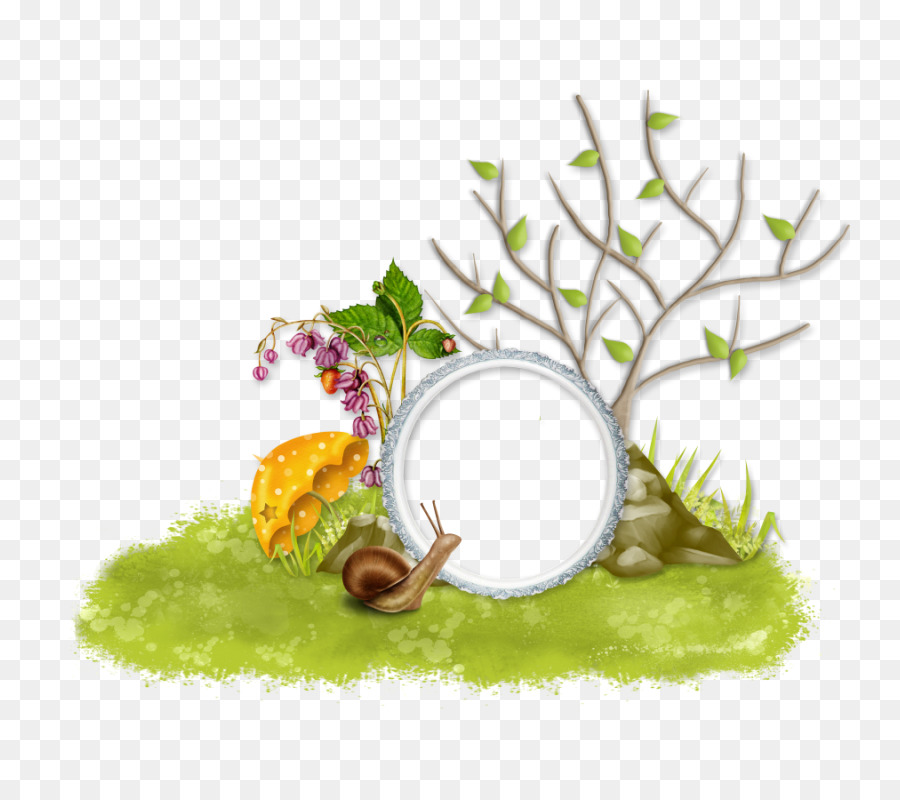 Descargar，Árbol PNG