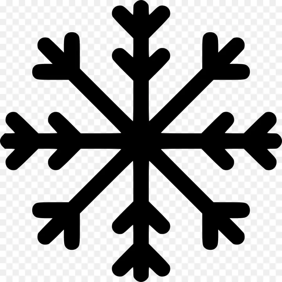 Copo De Nieve，Iconos De Equipo PNG