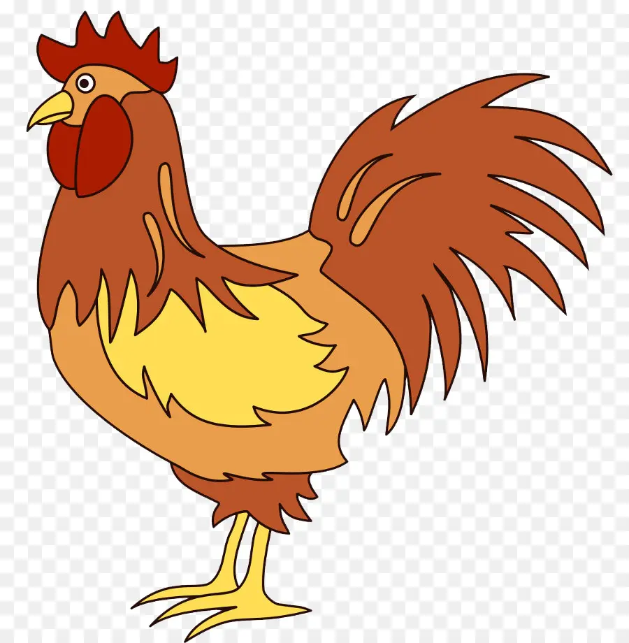 Pollo，Pájaro PNG