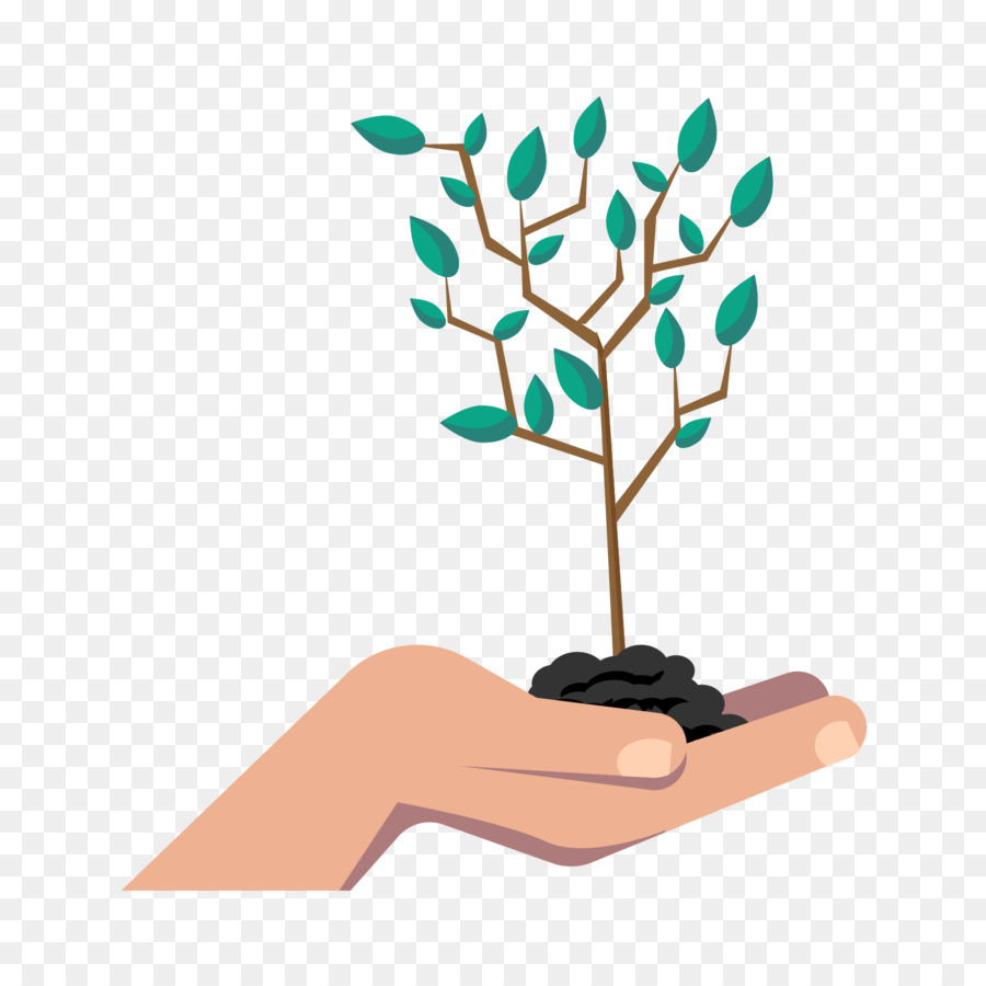 Planta De Mano，Crecimiento PNG