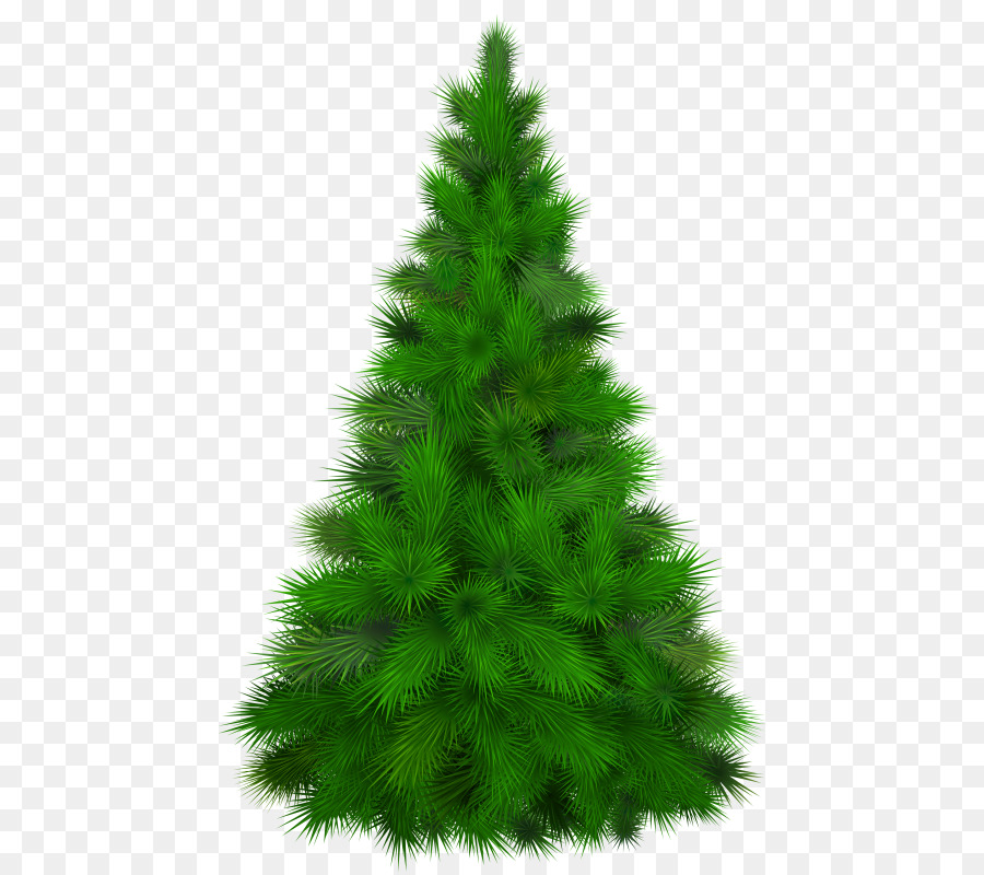 Pino，Árbol PNG