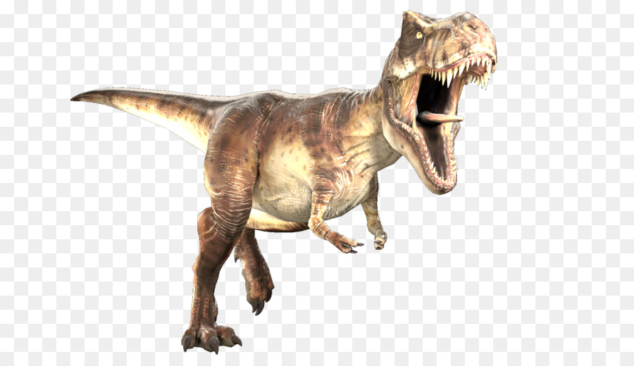 Tyrannosaurus，Velociraptor PNG