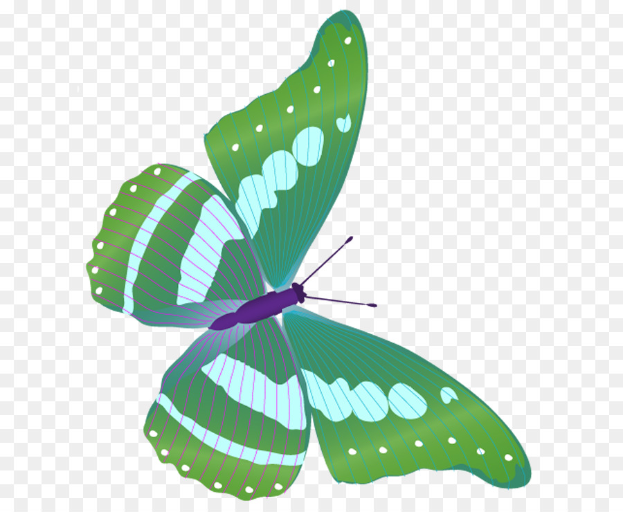 Mariposa Verde，Alas PNG