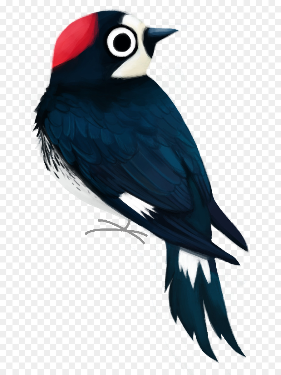 Woodpecker，Carpintero Careto PNG