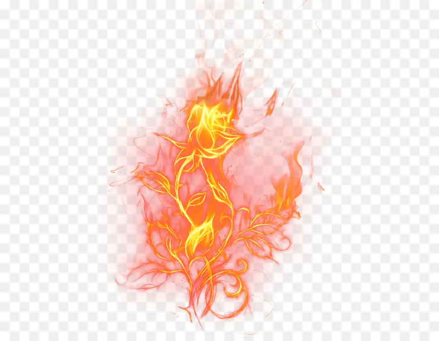 Fuego，Llama PNG