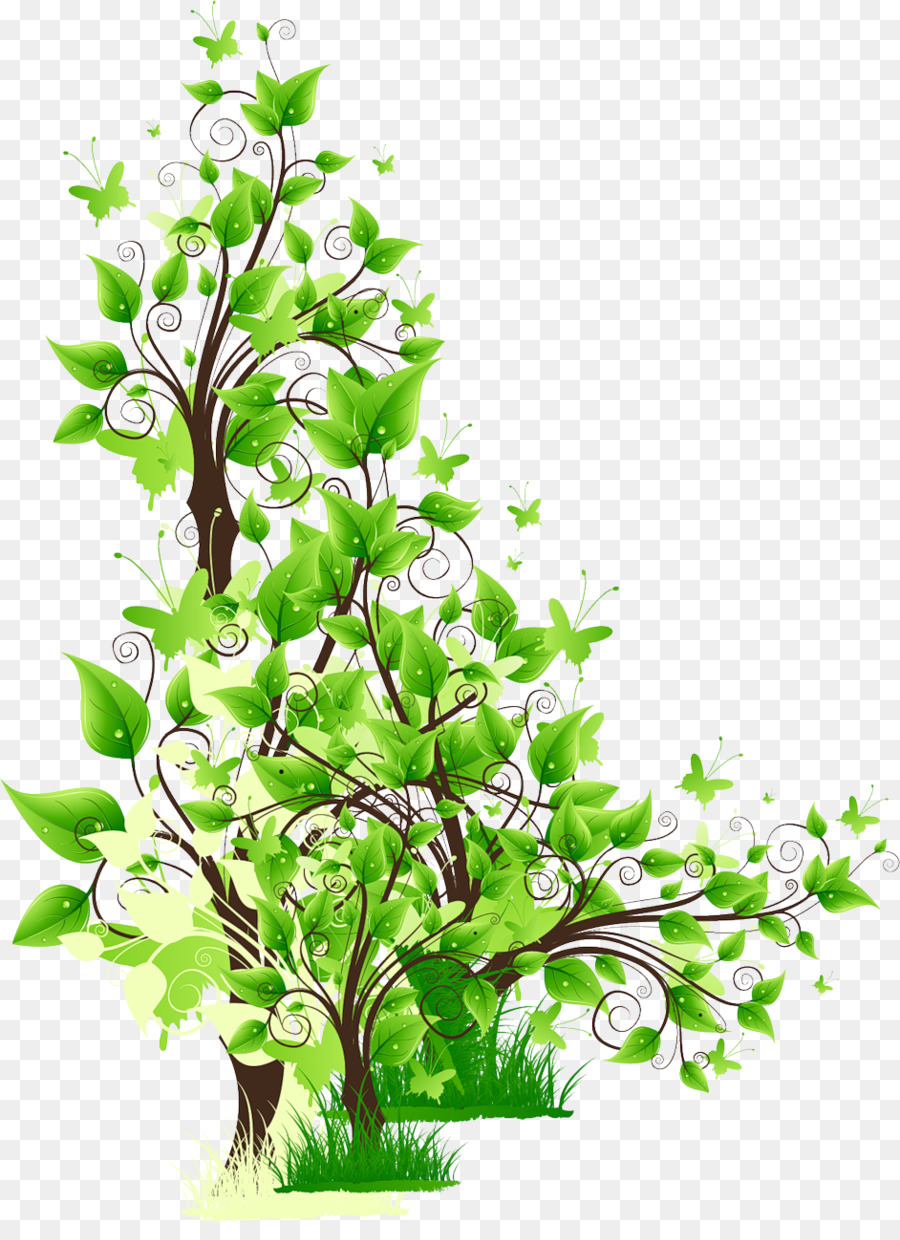 Árbol，Hojas PNG