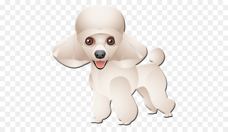 Caniche，Perro Maltés PNG