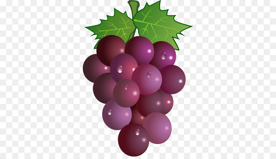 Vino，Uva PNG