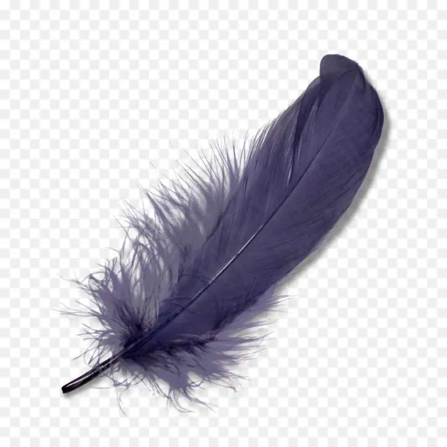 Pluma，Iconos De Equipo PNG