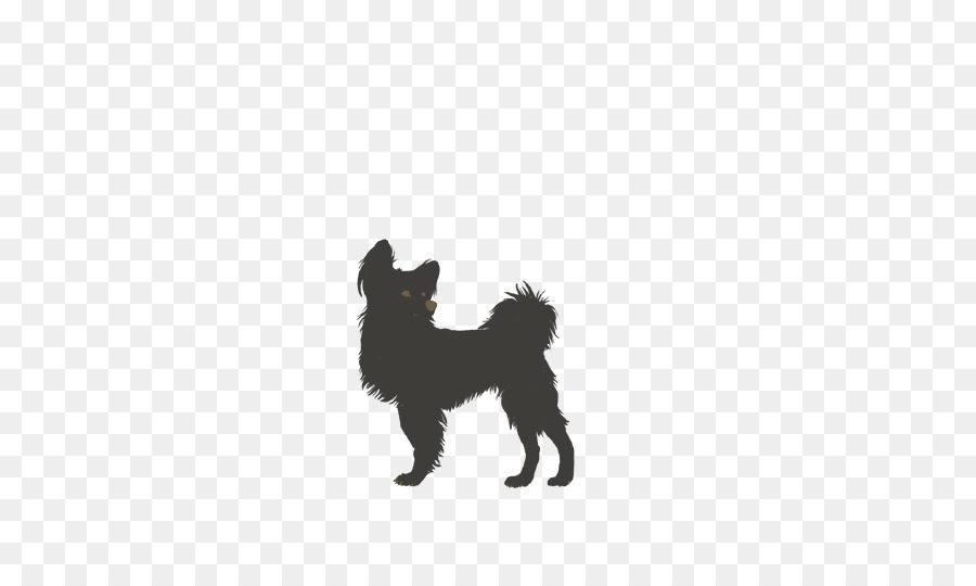 Affenpinscher，Cachorro PNG