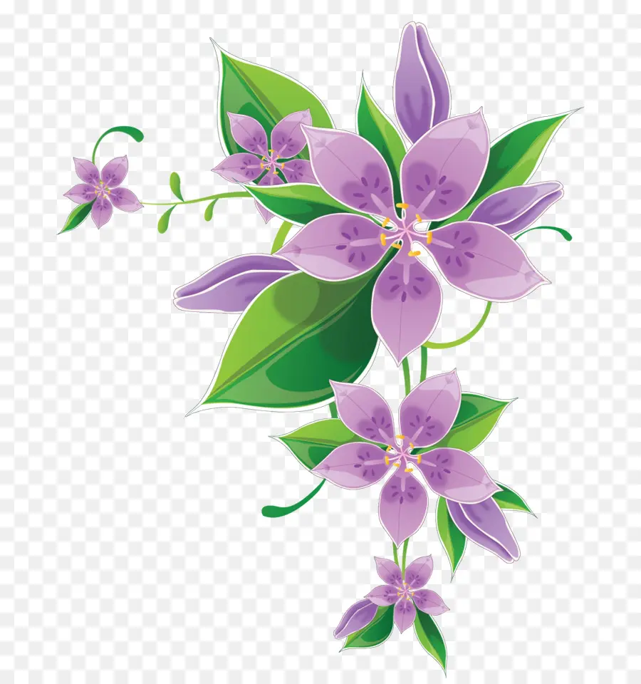 Flores Moradas，Hojas PNG