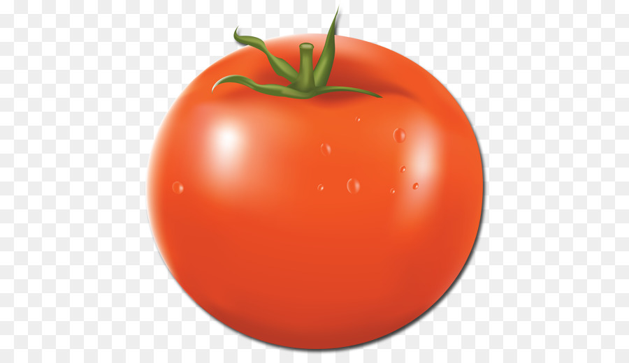 Tomate Ciruela，Bush Tomate PNG