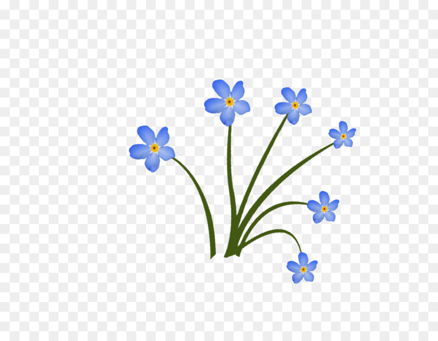 Flores Azules，Botánico PNG