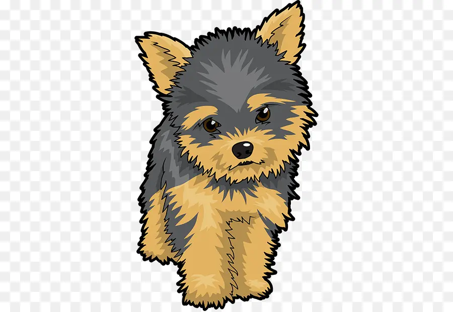 Yorkshire Terrier，El Cairn Terrier PNG