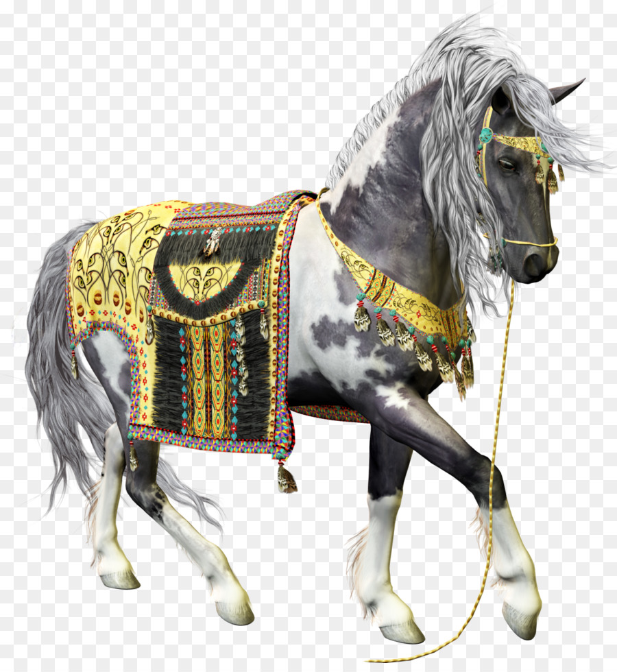 Fotolibre，Caballo PNG