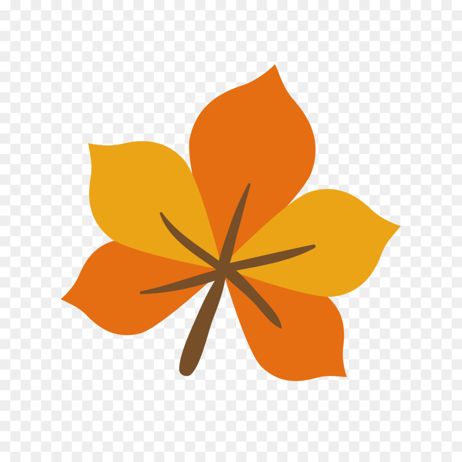 Flor De Naranja，Florecer PNG