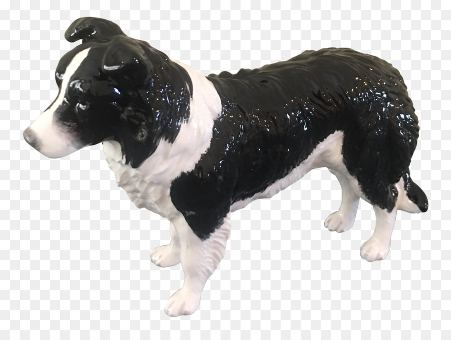 Raza De Perro，Border Collie PNG