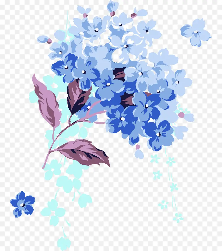 Dibujo，Diseño Floral PNG