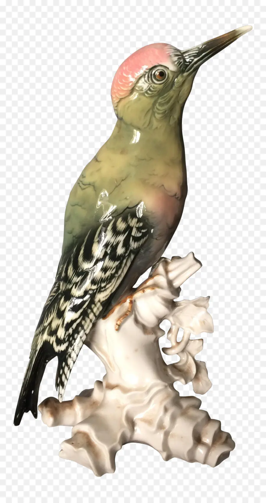 Woodpecker，Aves PNG