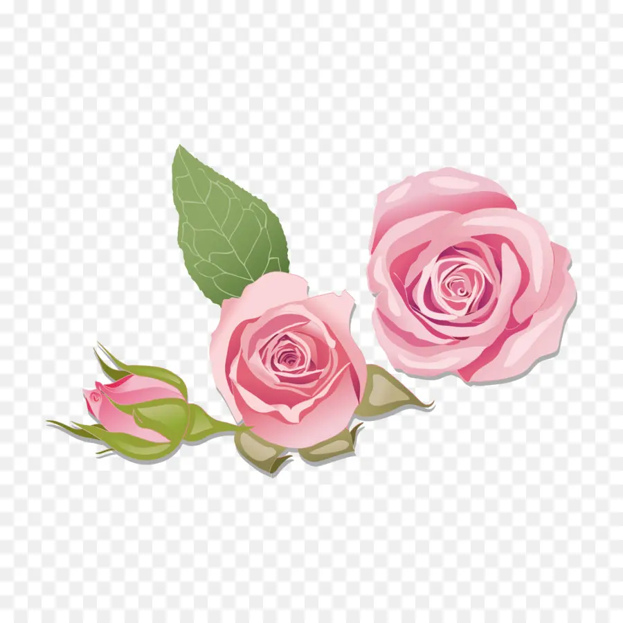 Rosa，Pintura PNG