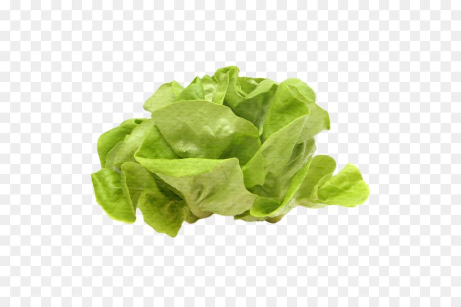 Lechuga Romana，Cocina Vegetariana PNG