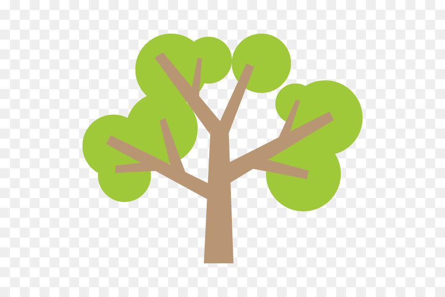 Árbol，Planta PNG