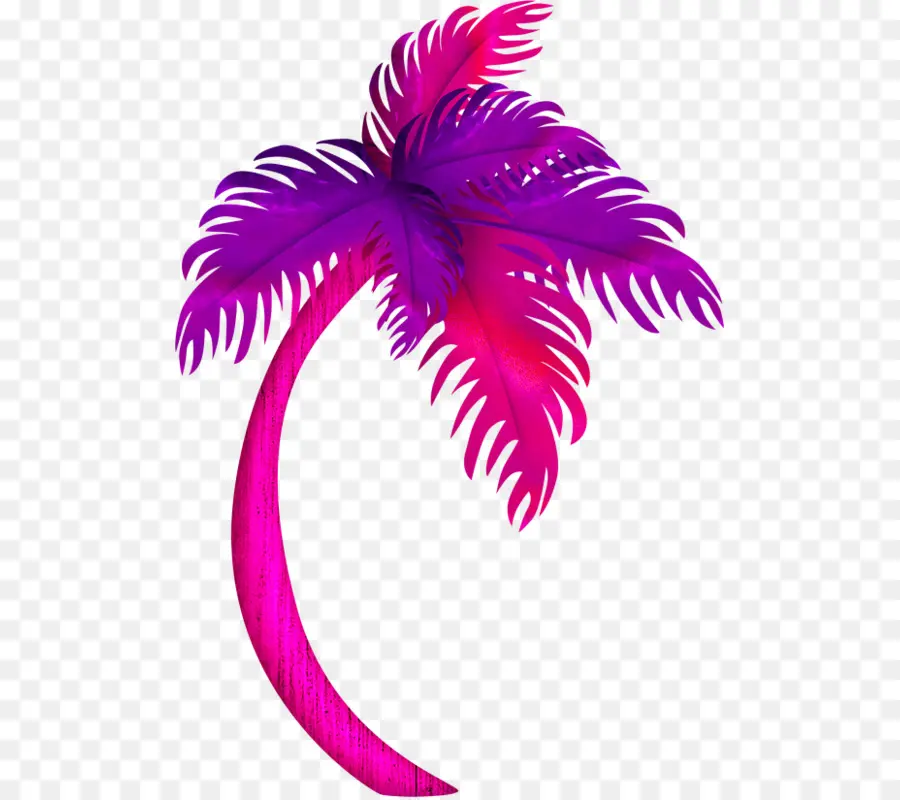 Palmera Morada，árbol PNG