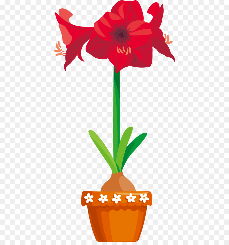 Amarilis，Flor PNG