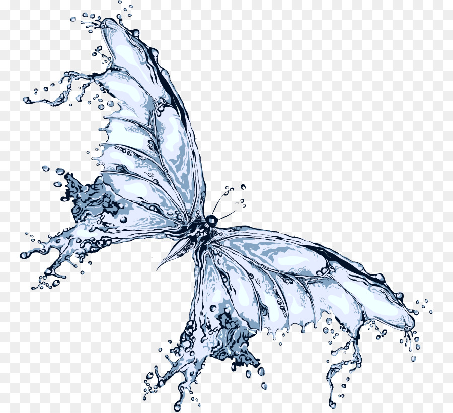 Mariposa De Agua，Mariposa PNG