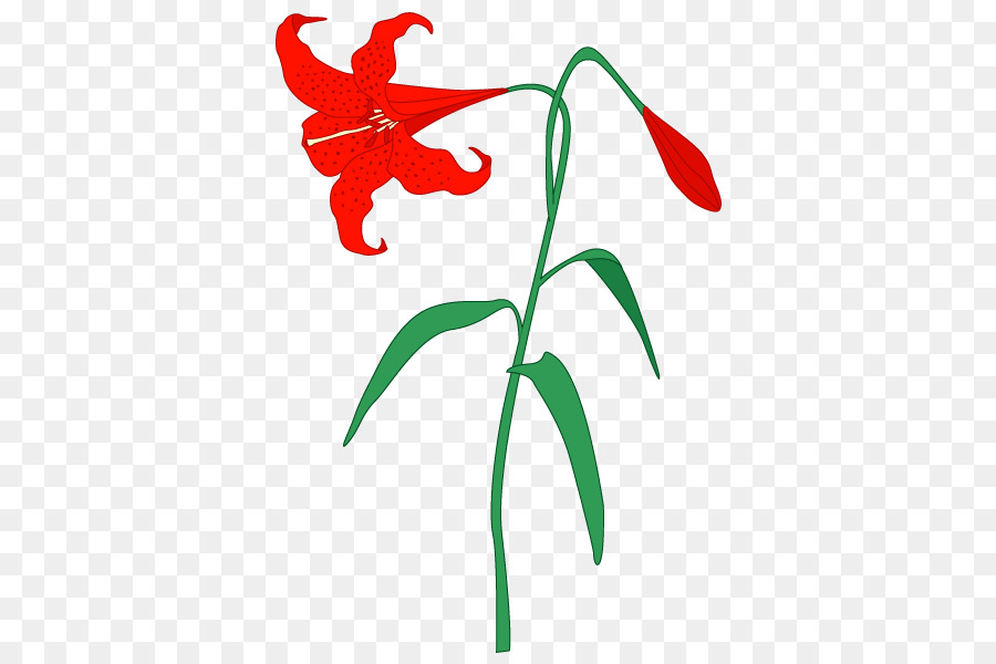 Flor Roja，Planta PNG