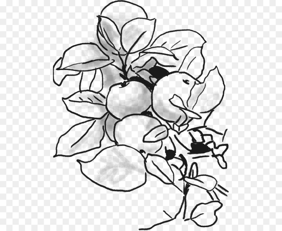 Diseño Floral，M02csf PNG