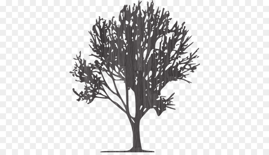 Árbol，Hojas Blancas PNG