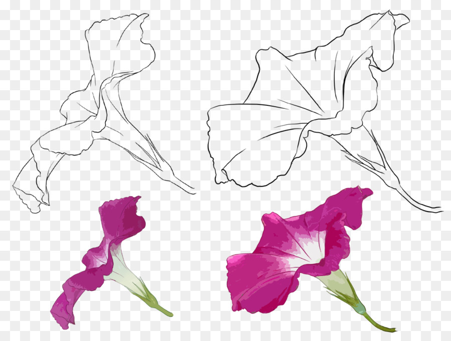 Diseño Floral，Dibujo PNG