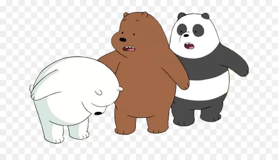 Oso，Ice Bear PNG