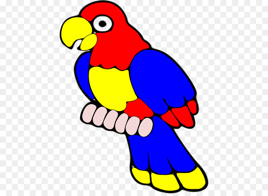 Aves，Loro PNG