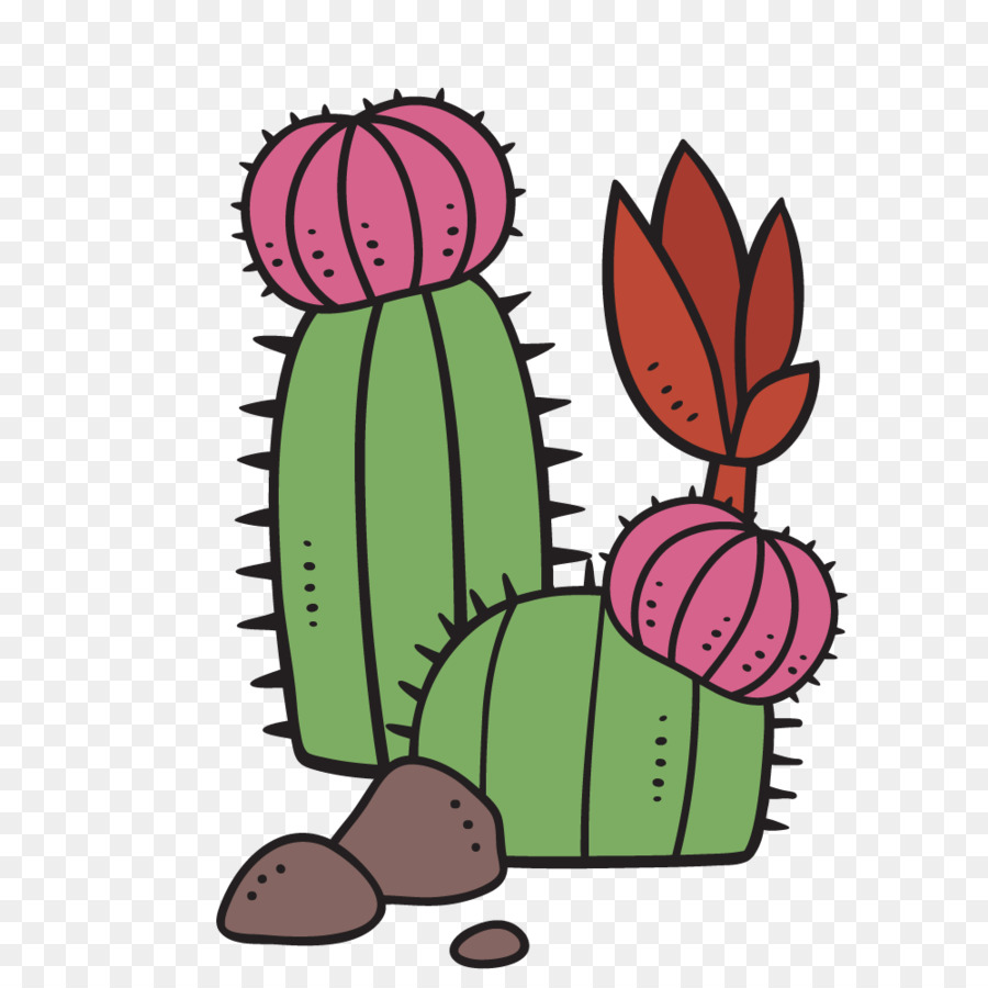 Cactus，Planta Suculenta PNG