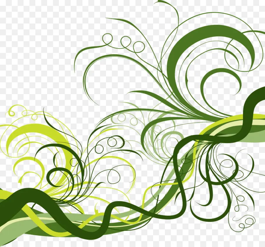 Floral Vector Diseños，Diseño Gráfico PNG