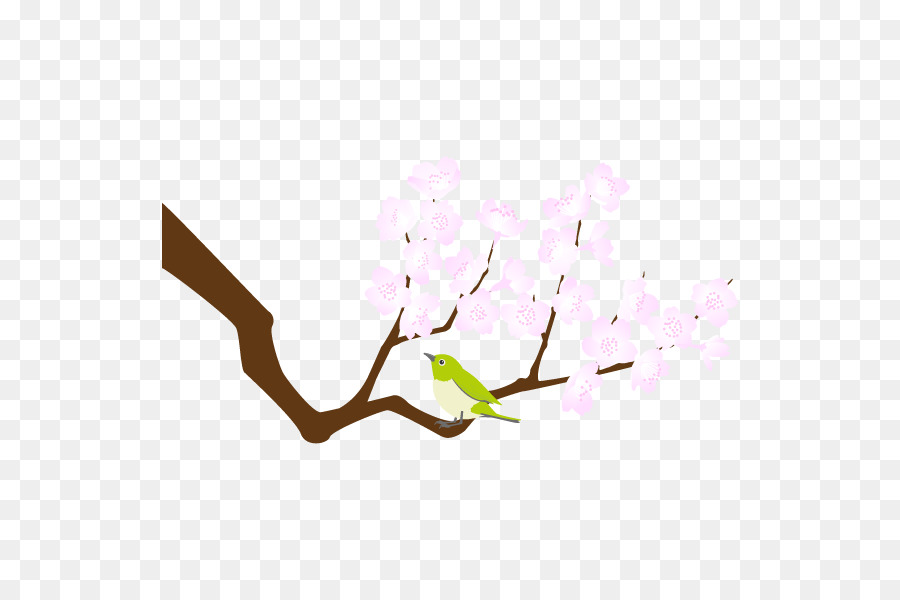 Rama Con Flores，Árbol PNG