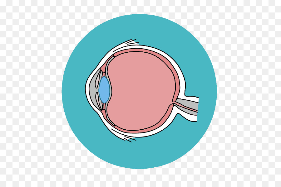 Ojo，Retina PNG