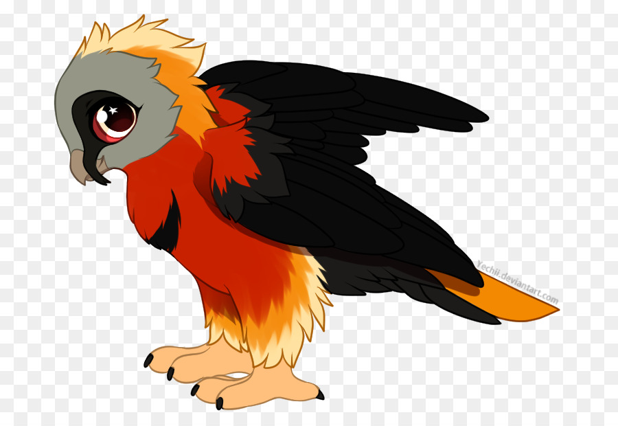 Loro，Aves PNG