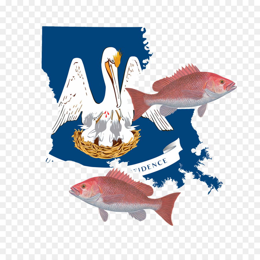 Nueva Orleans，Bandera De Louisiana PNG