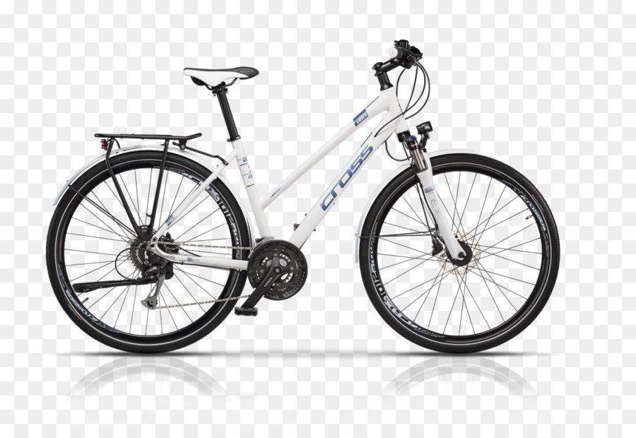 Moot Ciclos，Bicicleta PNG