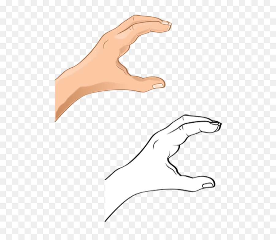 Pulgar，De La Mano De La Modelo PNG