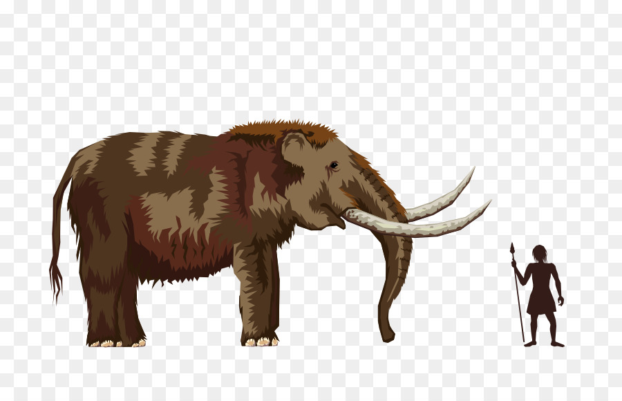Mastodon，Mamut Lanudo PNG