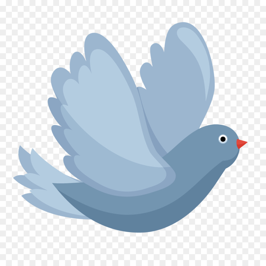 Pájaro，Pollo PNG