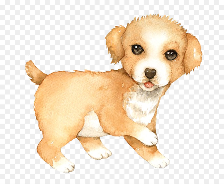 Cachorro，Perro PNG