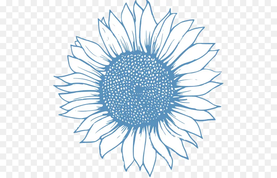 Dibujo，Girasol PNG