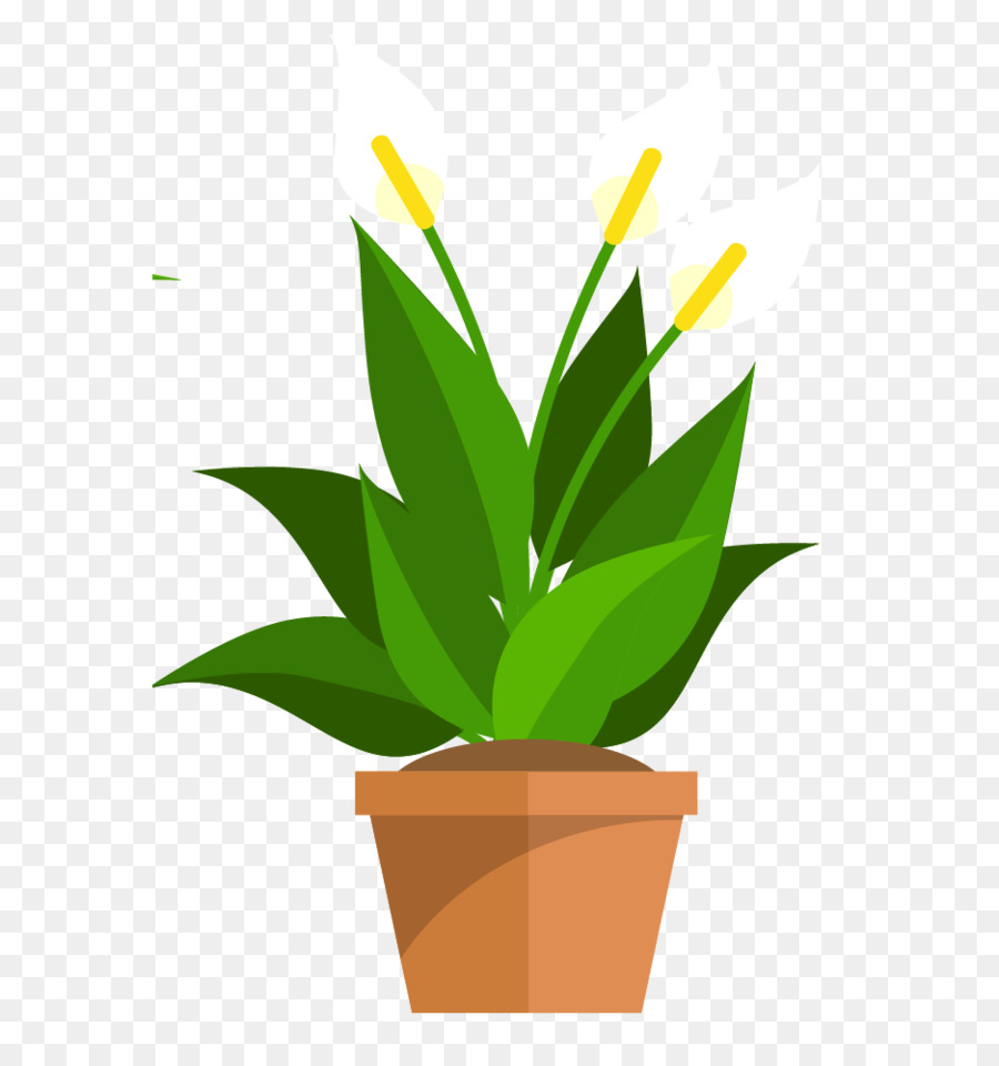 Las Plantas，Ensayo PNG