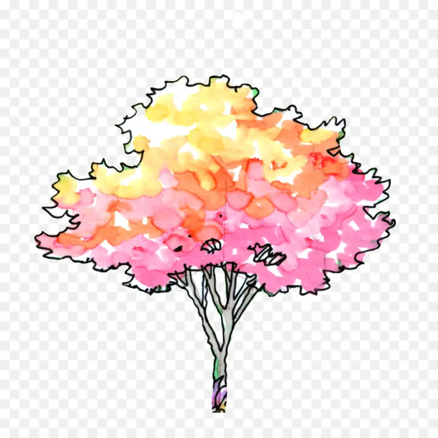 árbol Colorido，Acuarela PNG