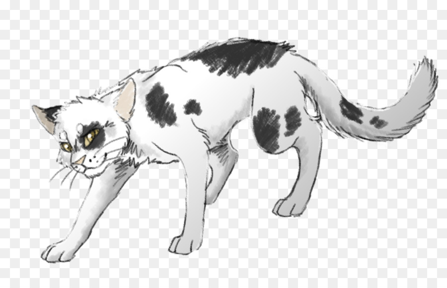 Swiftpaw，Erin Hunter PNG